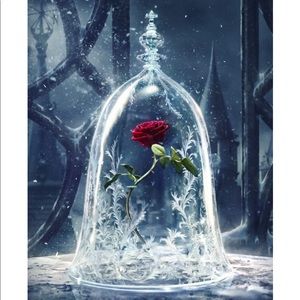 Meet your Posher, Karina